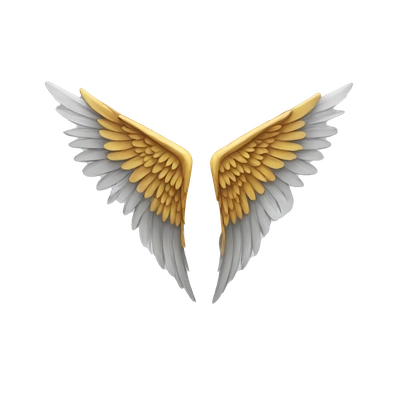 Angle wings 