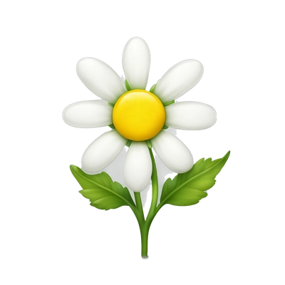 Daisy Flower white petals with yellow center and a green stem with short leaf on the side of the stem
