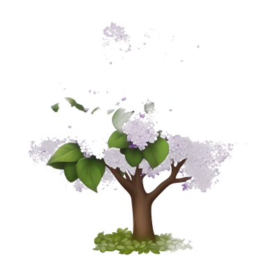 lilac bush