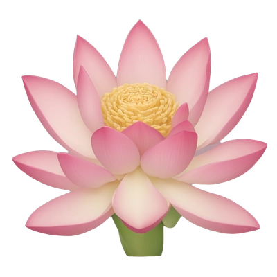lotus