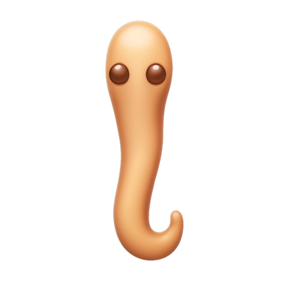 penis