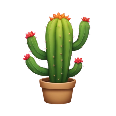 Rainbow cactus
