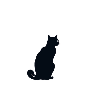silhouette of a cat in a window night