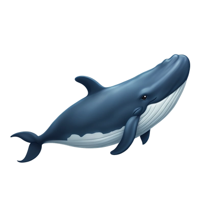 whale